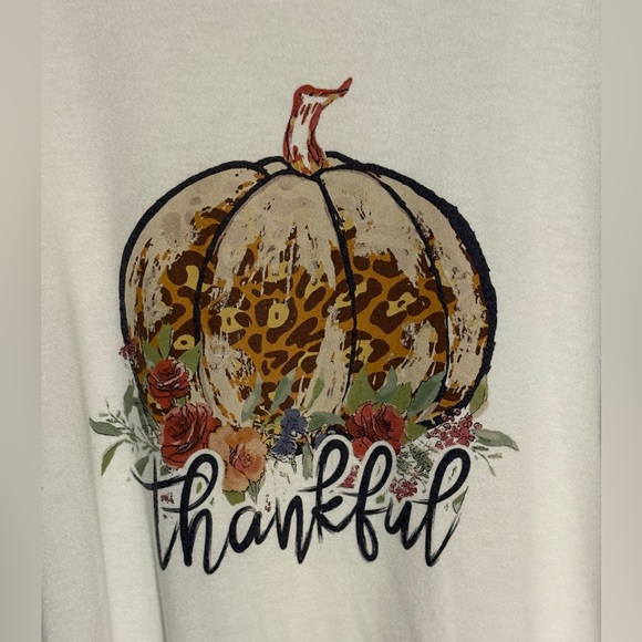 Thankful Fall Long Sleeve Shirt Pullover Modern Canvas Pumpkin Thankful. - Picture 2 of 5
